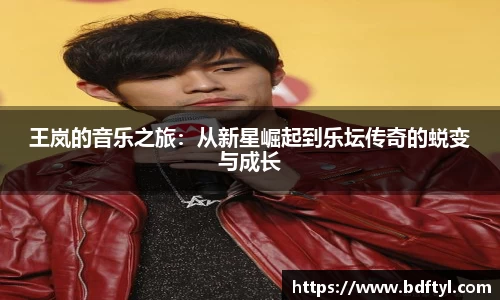 王岚的音乐之旅：从新星崛起到乐坛传奇的蜕变与成长